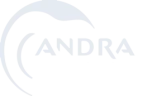 Andra
